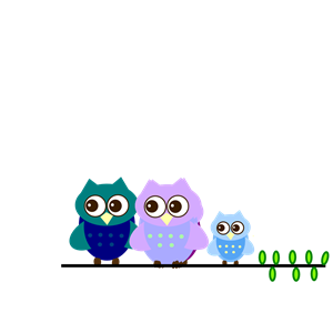 Family Owl