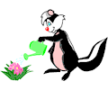 Skunk Watering Flowers