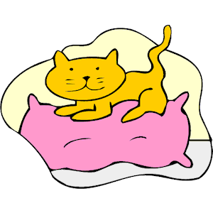 Cat on Pillow