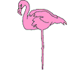 Flamingo 03