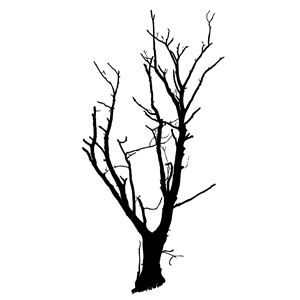 Dead Tree Optimized
