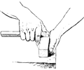 the thumb is opposite the spur