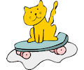 Cat on Skateboard