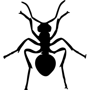 Ant silhouette