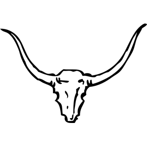 bull skull