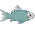 generic fish