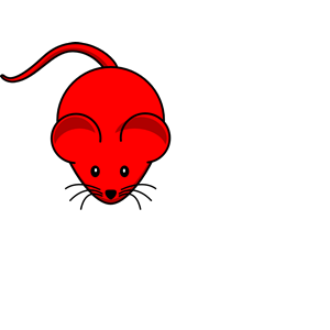 Red Mouse Red Tail