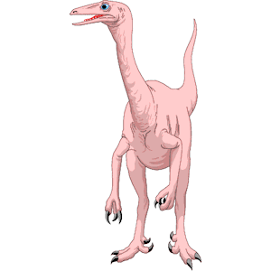 Dinornis 11