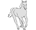 HORSE 2