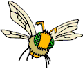 Bee 11
