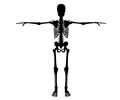 Skeleton With Arms Out Silhouette