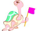Tortoise with Flag