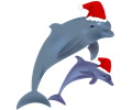 christmas dolphins
