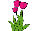 tulips ganson