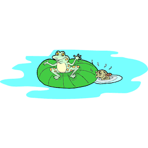 Frog on Lily Pad 2