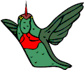 Hummingbird 08