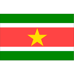 Suriname 1