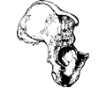 Human Hemi-pelvis bone/Hip bone