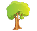 Cartoon Tree Isolated