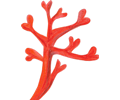 Painted Red Coral Traced