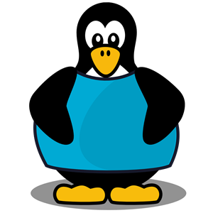 Penguin with a shirt