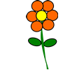 Flower 3 orange