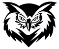 Stylized Owl Face Line Art