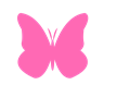 Hot Pink Butterfly