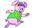 Pig Running