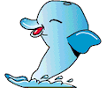 Dolphin - Happy
