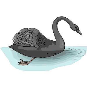 Swan - Black