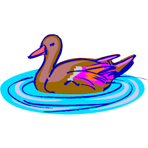 Duck 20