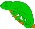Chameleon 1