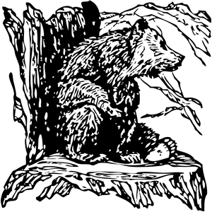 bear on a stump