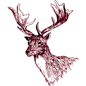Deer 36