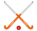 Hockey Stick & Ball