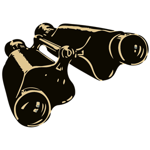Binoculars 2