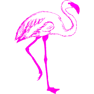 Flamingo 23