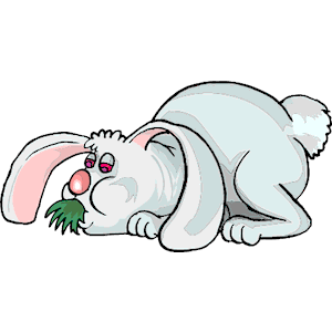 Rabbit Eating