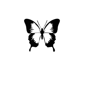 Butterflyblack