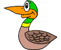 Duck 024
