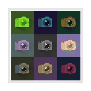 SLR Digital Camera Icons Color Study