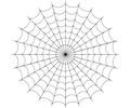 Spider Web (Circular)