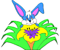 Rabbit & Flower