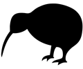 Kiwi (Bird)