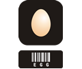 egg mateya 01