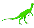 Dinornis 16