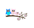 Pink Owl on Branch
