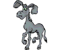 Donkey 010