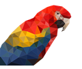 Geometric Macaw